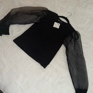 Zara puff sleeved top